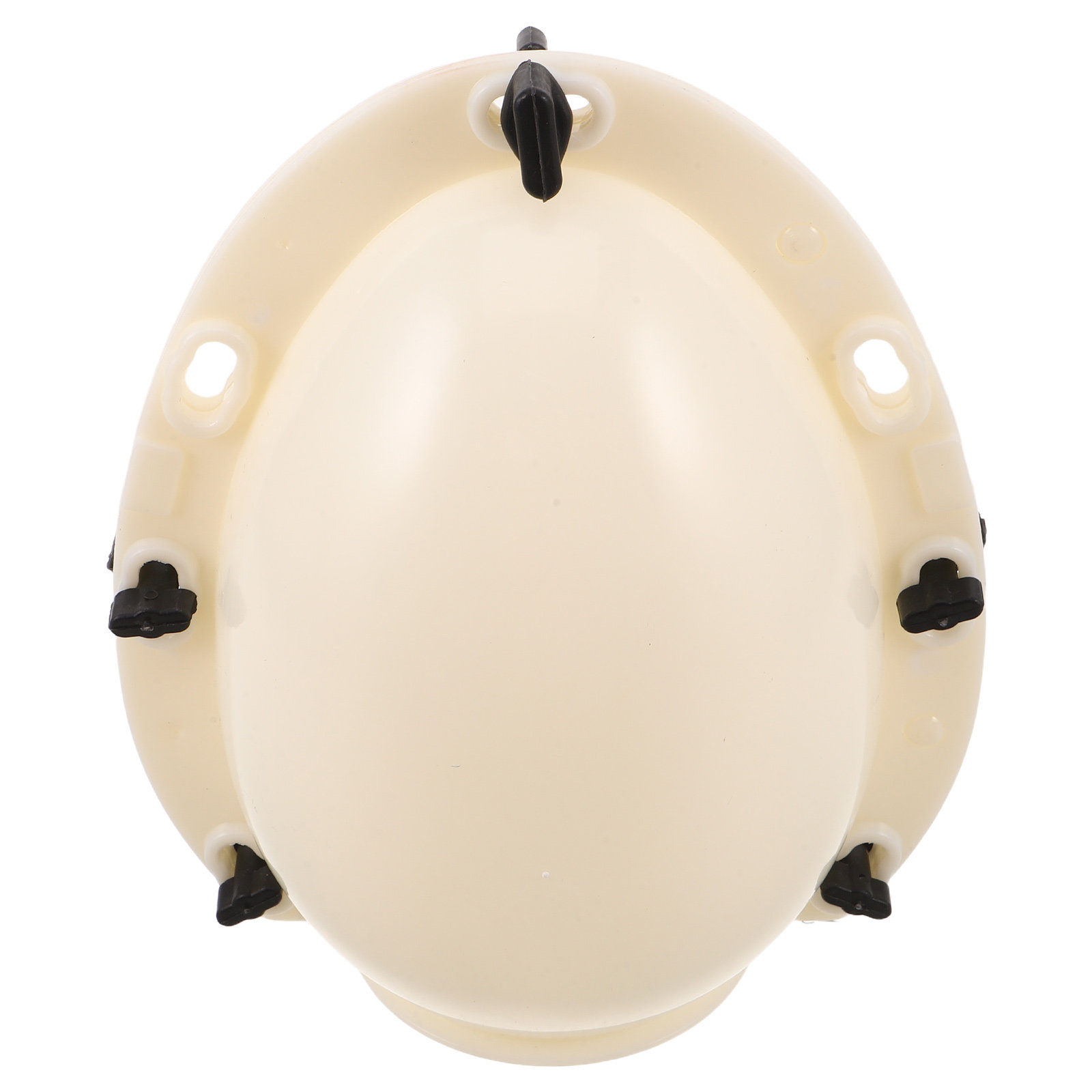 Jumbo 20Cm Easter Egg Mold 3D  - Soap Making Ins review and price