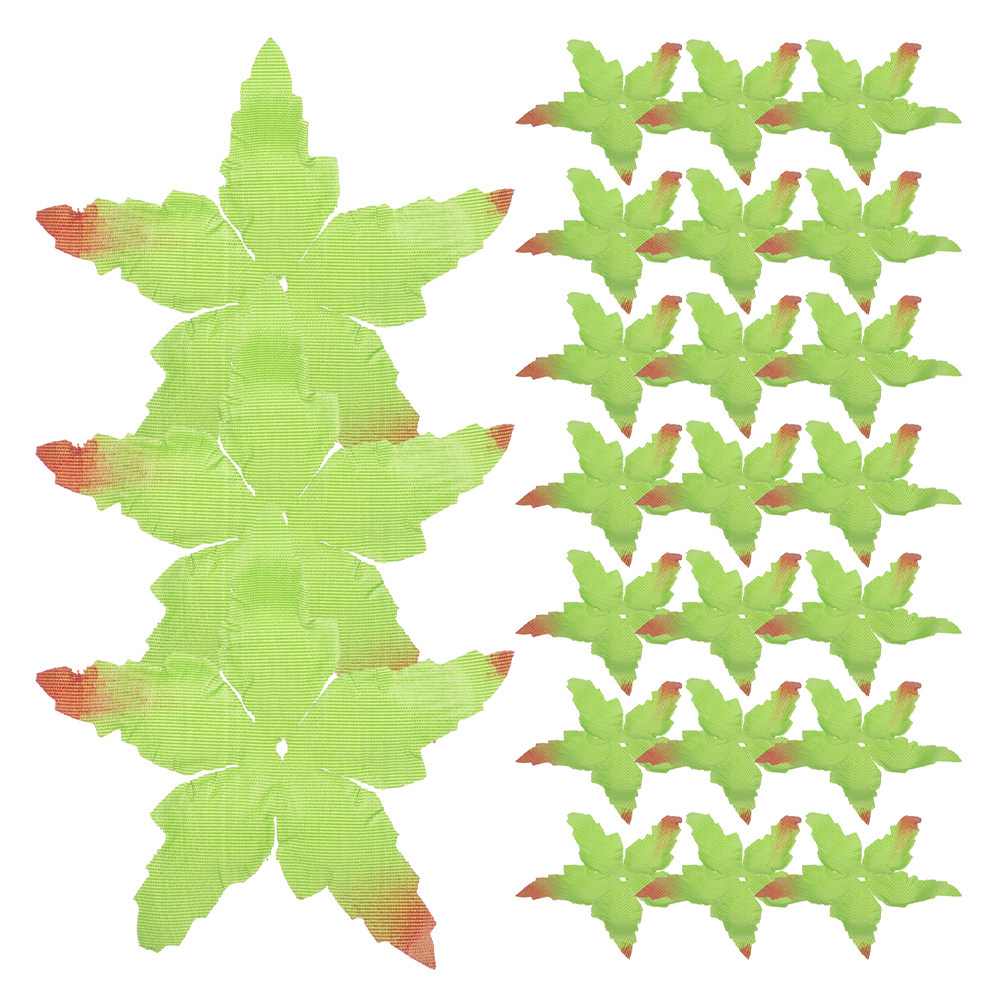 60Pcs DIY Sepals Materials Fab - Soap Making Ins review and price